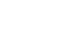 Tertius T3